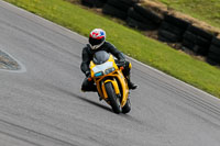 PJ-Motorsport-2019;anglesey-no-limits-trackday;anglesey-photographs;anglesey-trackday-photographs;enduro-digital-images;event-digital-images;eventdigitalimages;no-limits-trackdays;peter-wileman-photography;racing-digital-images;trac-mon;trackday-digital-images;trackday-photos;ty-croes